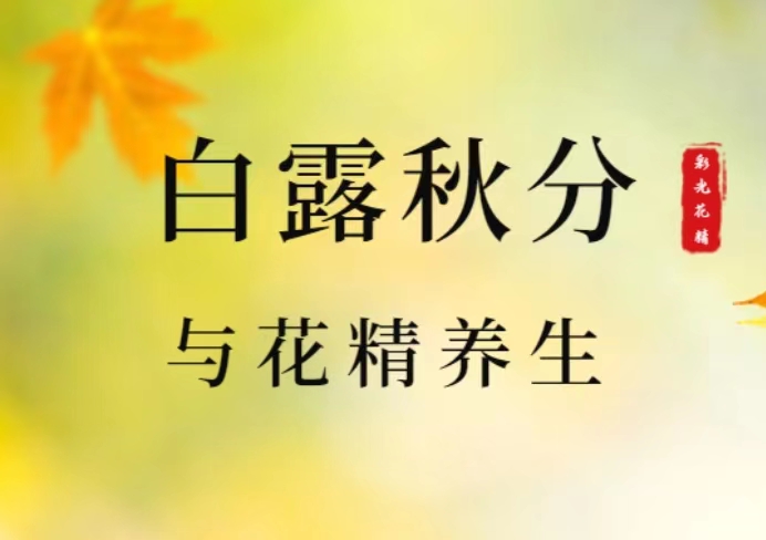 白露&秋分